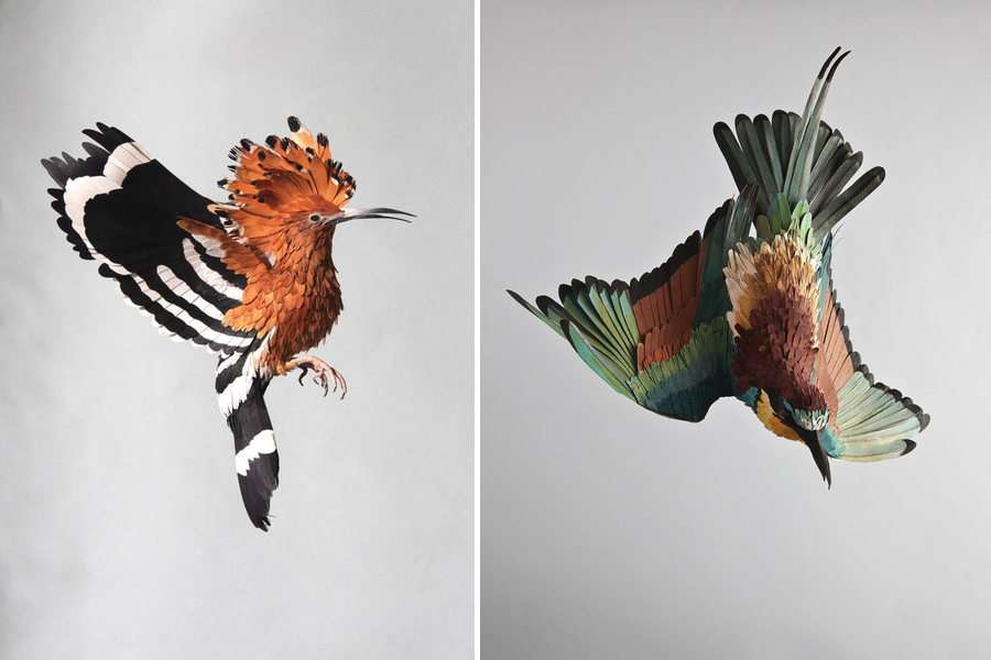 birds-1